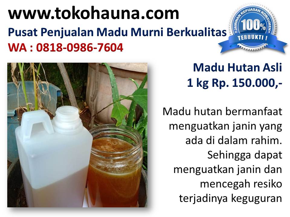 Madu asli untuk obat apa, agen madu odeng di Bandung  Madu-hutan-asli-kota